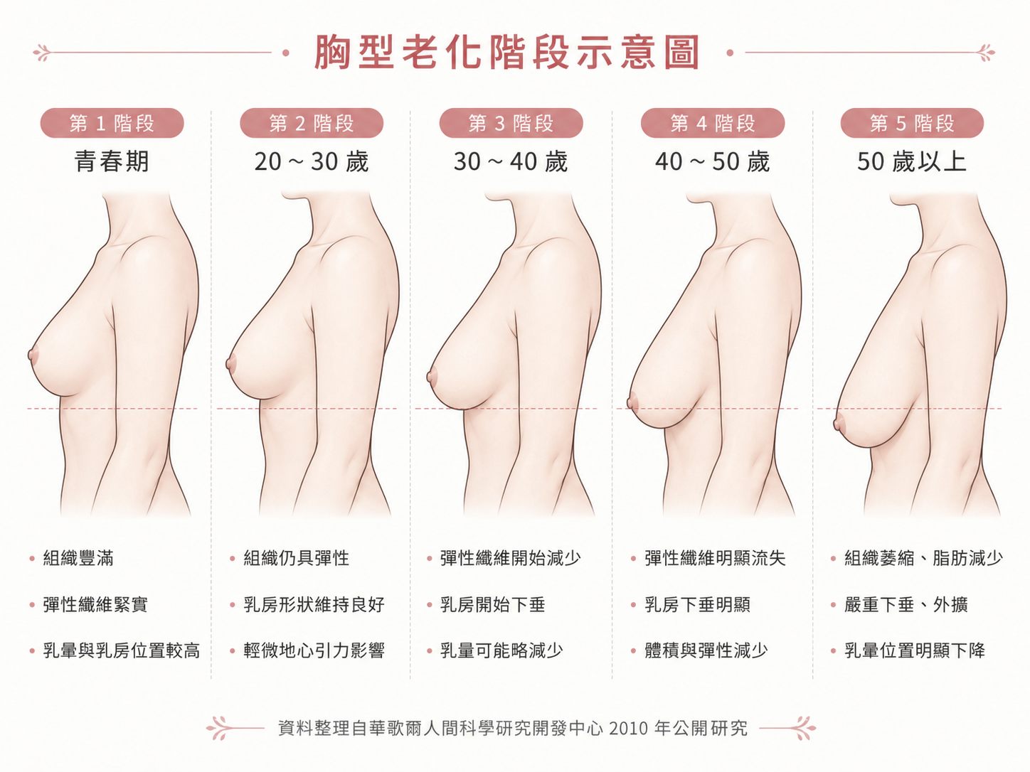 胸部老化階段示意圖說明